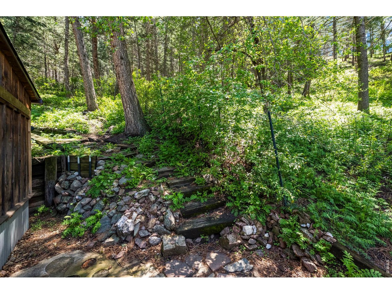 41 Silver Spruce