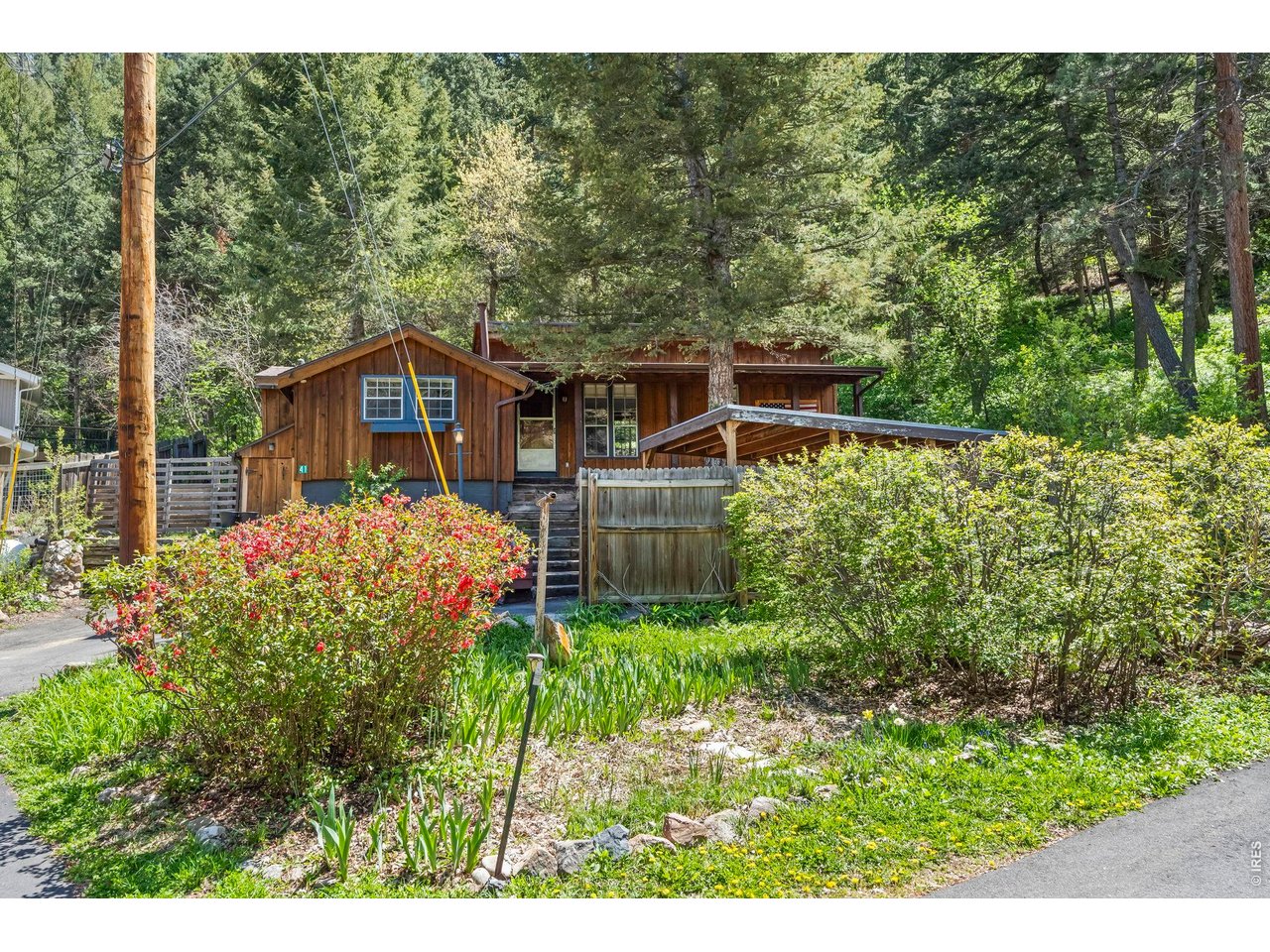 41 Silver Spruce