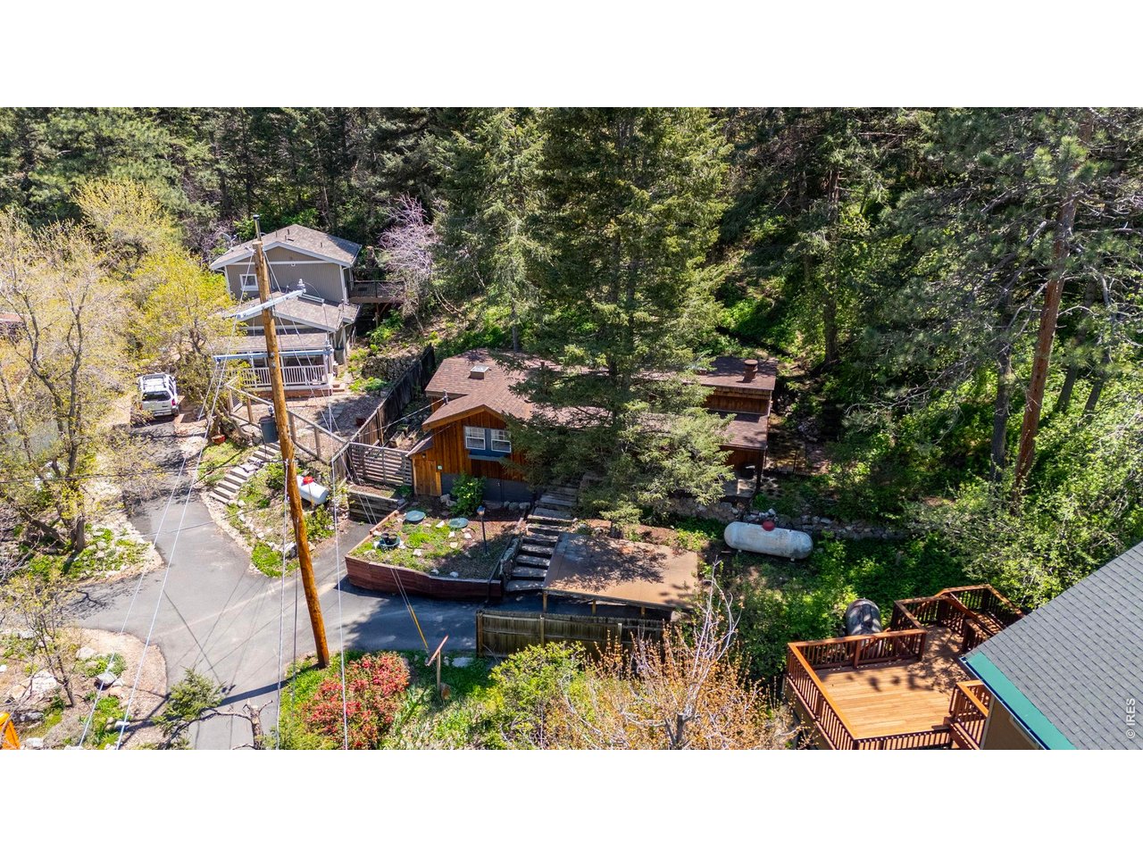 41 Silver Spruce