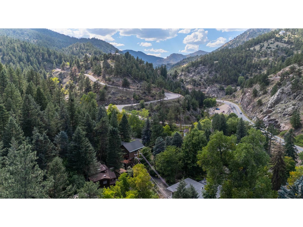 41 Silver Spruce