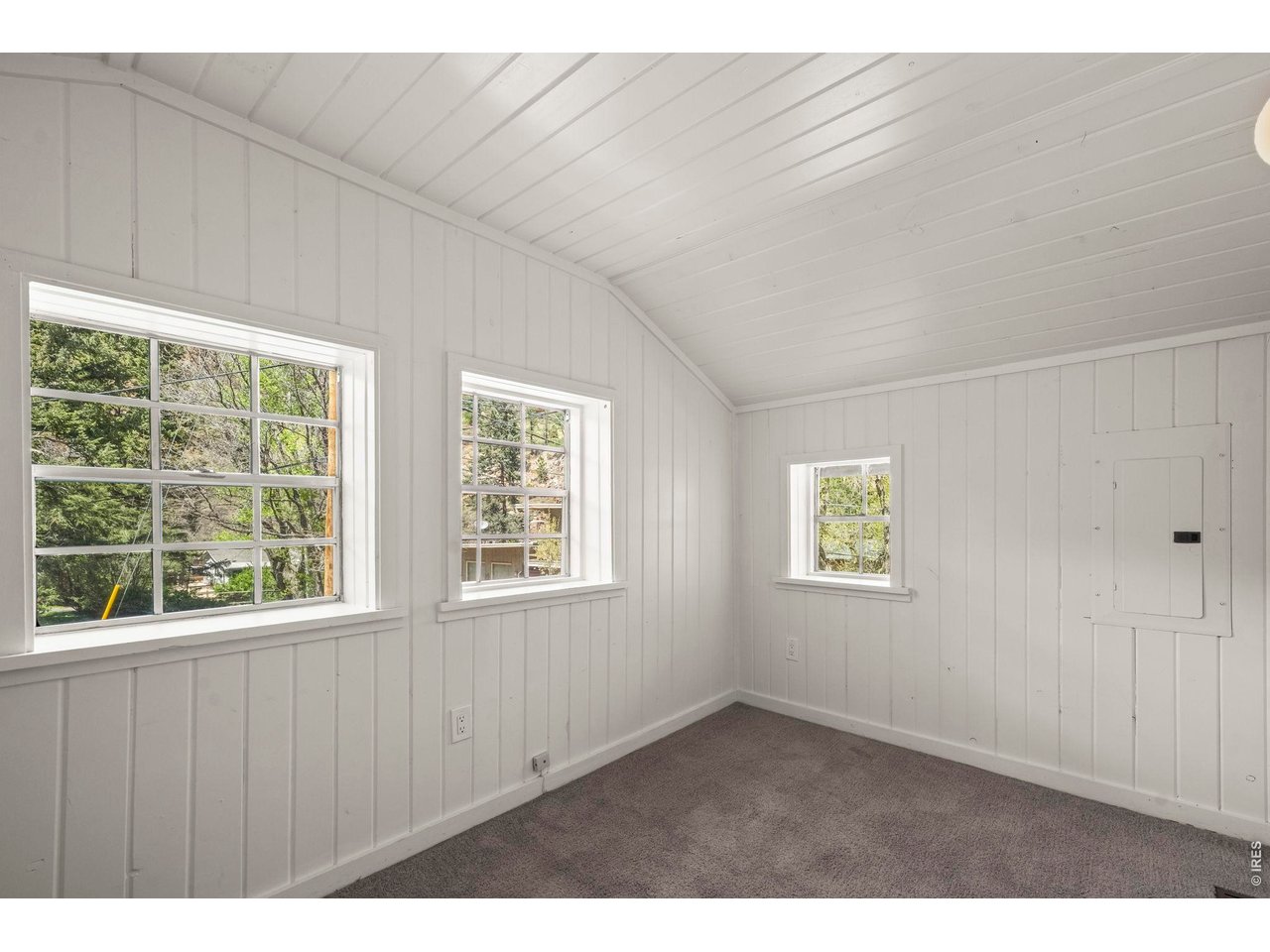 41 Silver Spruce