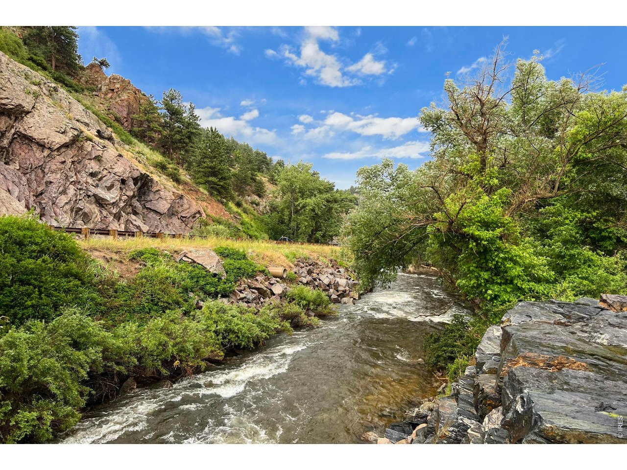 41 Silver Spruce