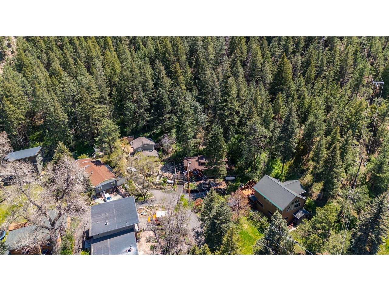 41 Silver Spruce