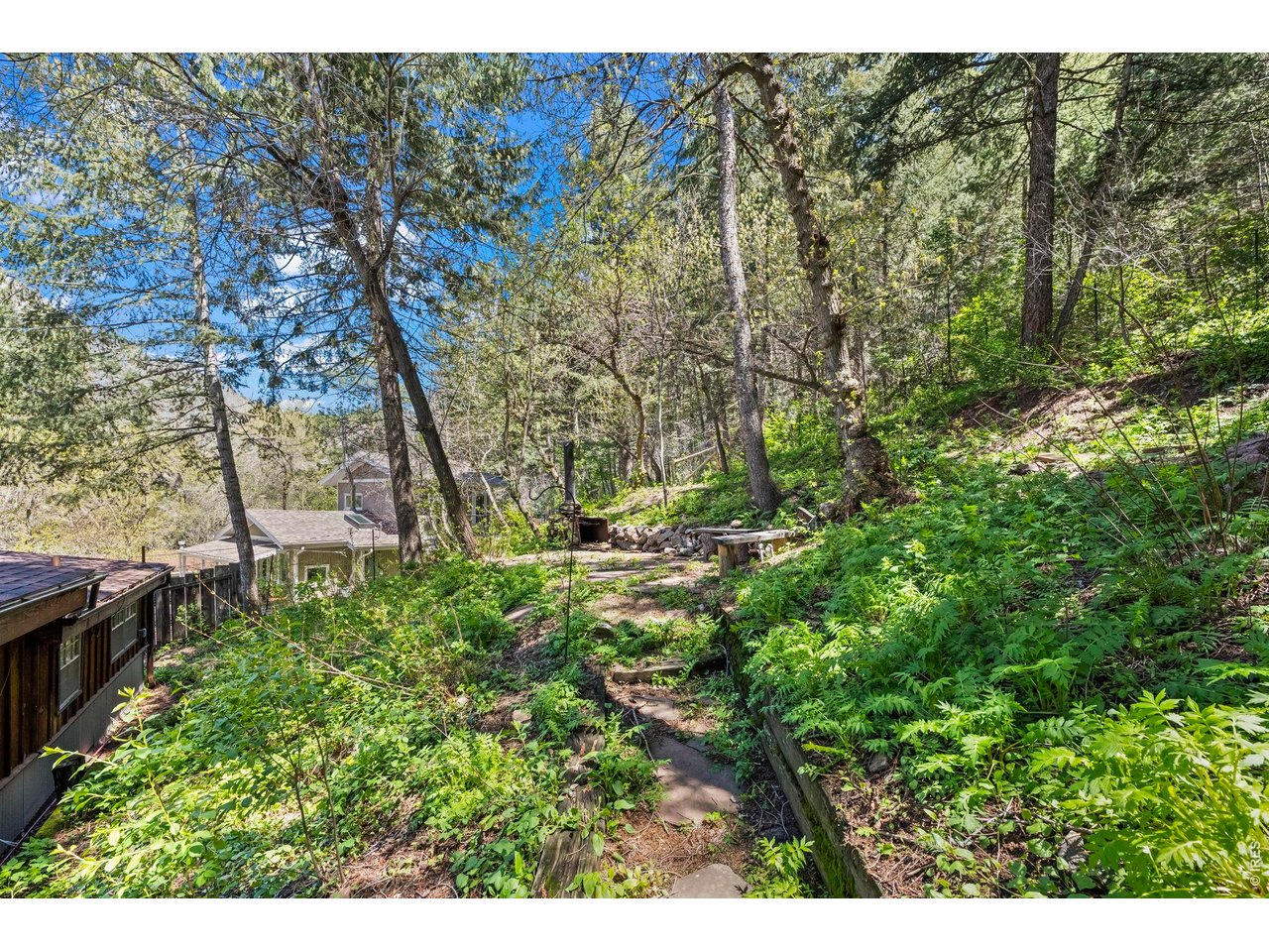 41 Silver Spruce