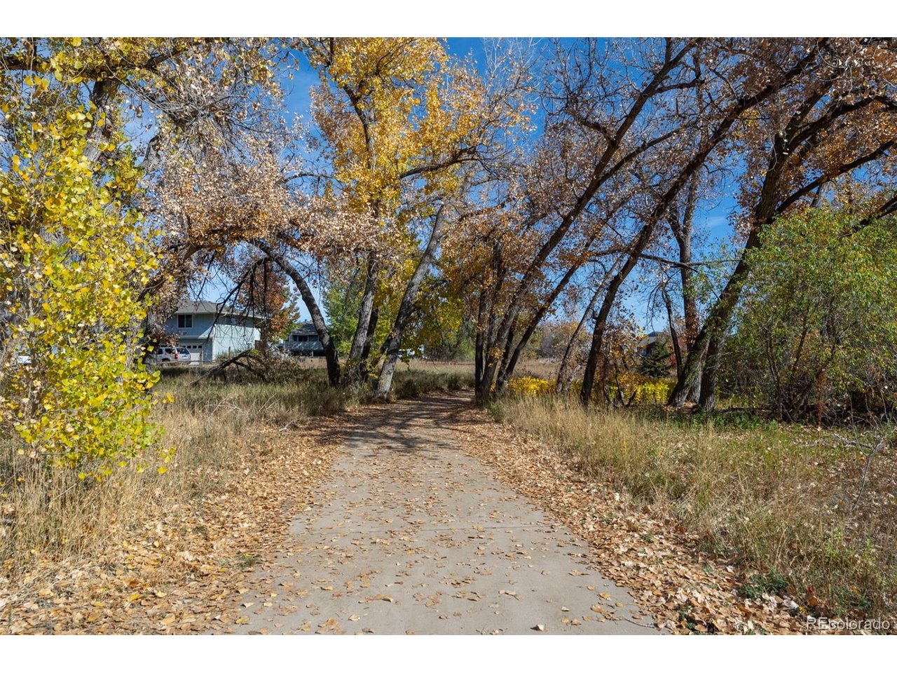 1111 Elysian Field Dr D