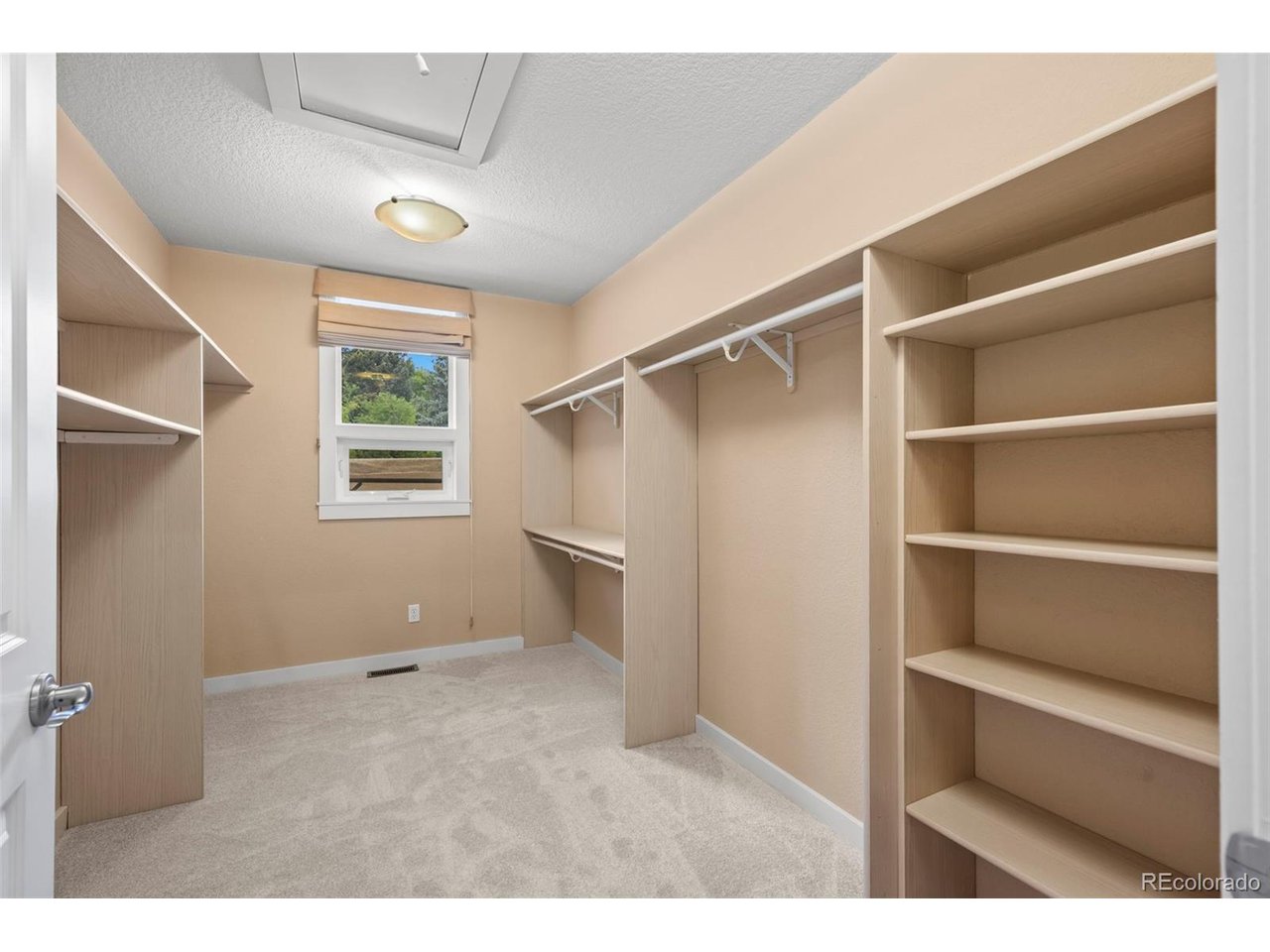4398 Carter Trl