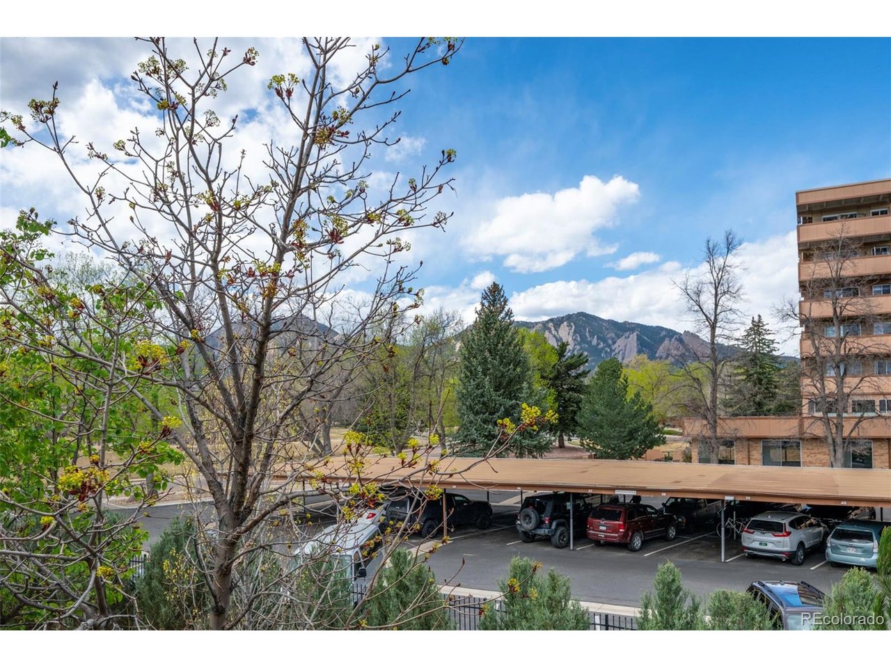 540 Mohawk Dr 15