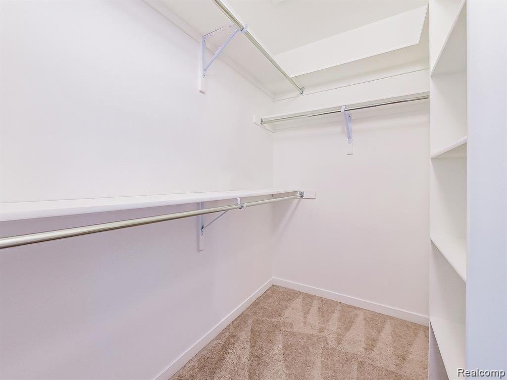 55941 WORLINGTON Lane