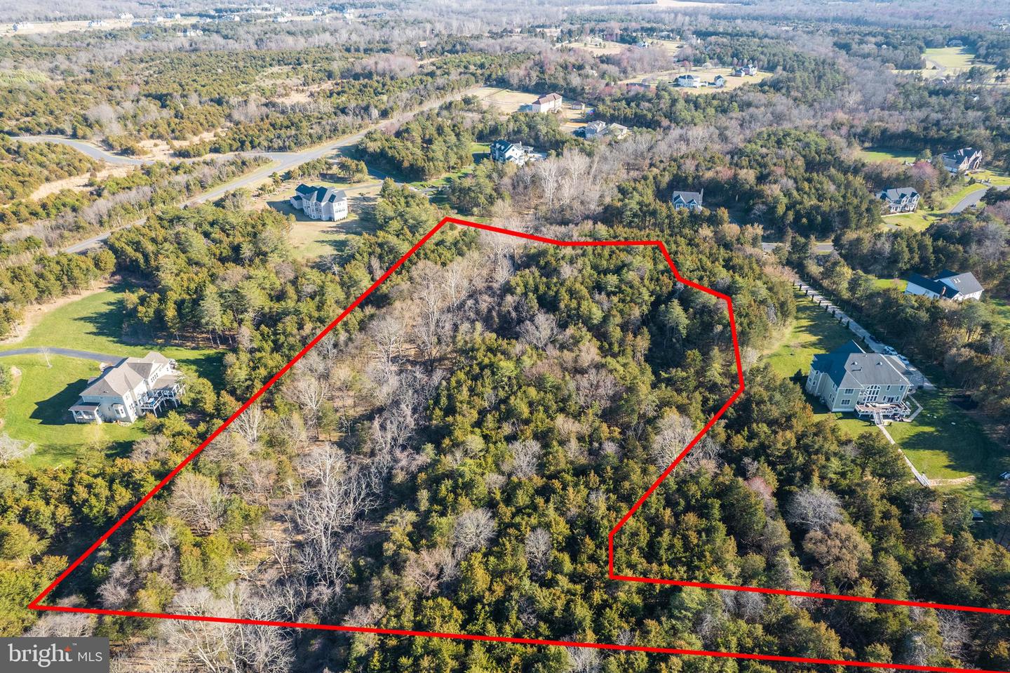 16452 Glory Creek Trl