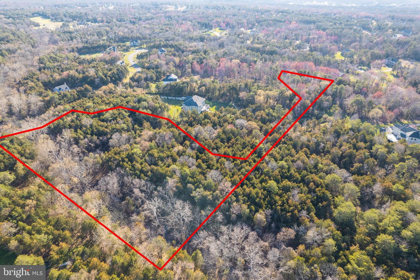 16452 Glory Creek Trl