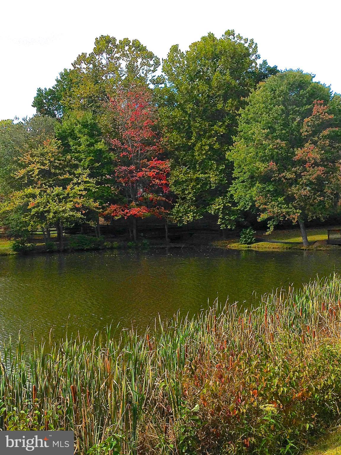 5917 New England Woods Dr