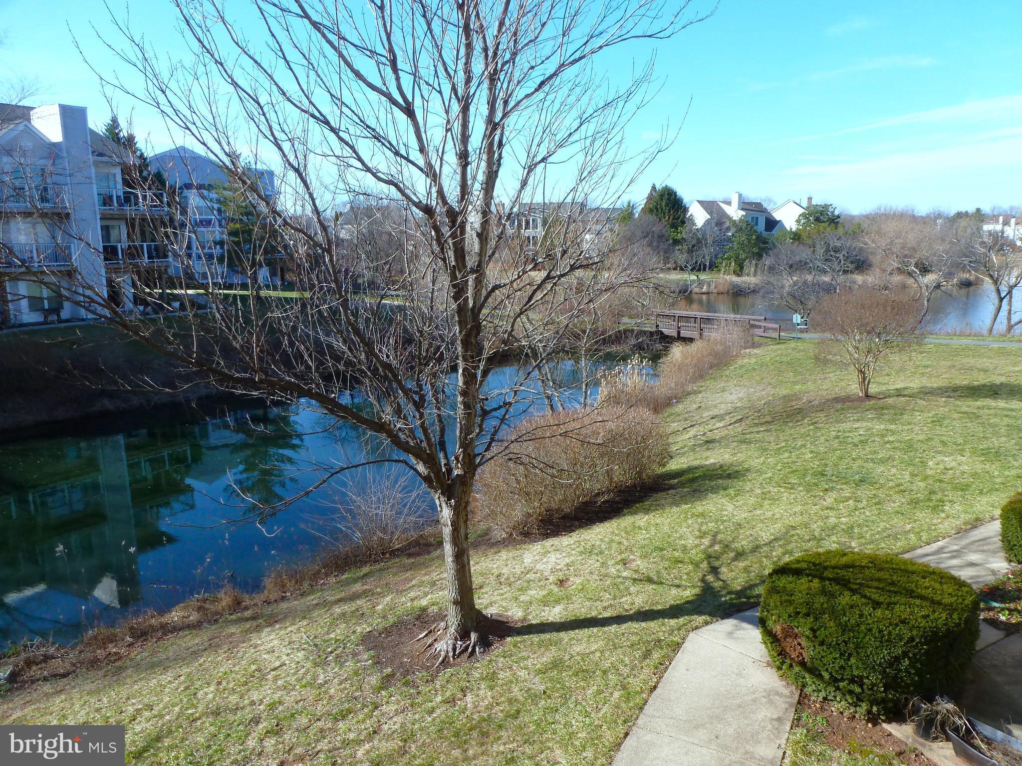 20595 Cornstalk Ter #202