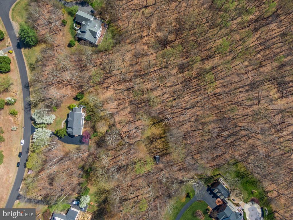 Aerial view of wooded property beside a residential road, with homes nearby.