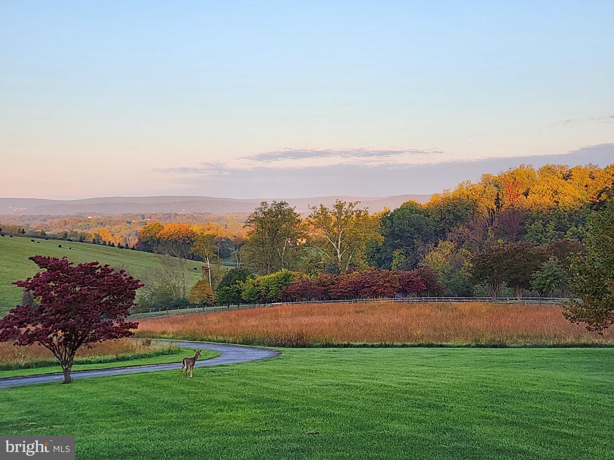 15870 Old Waterford Rd