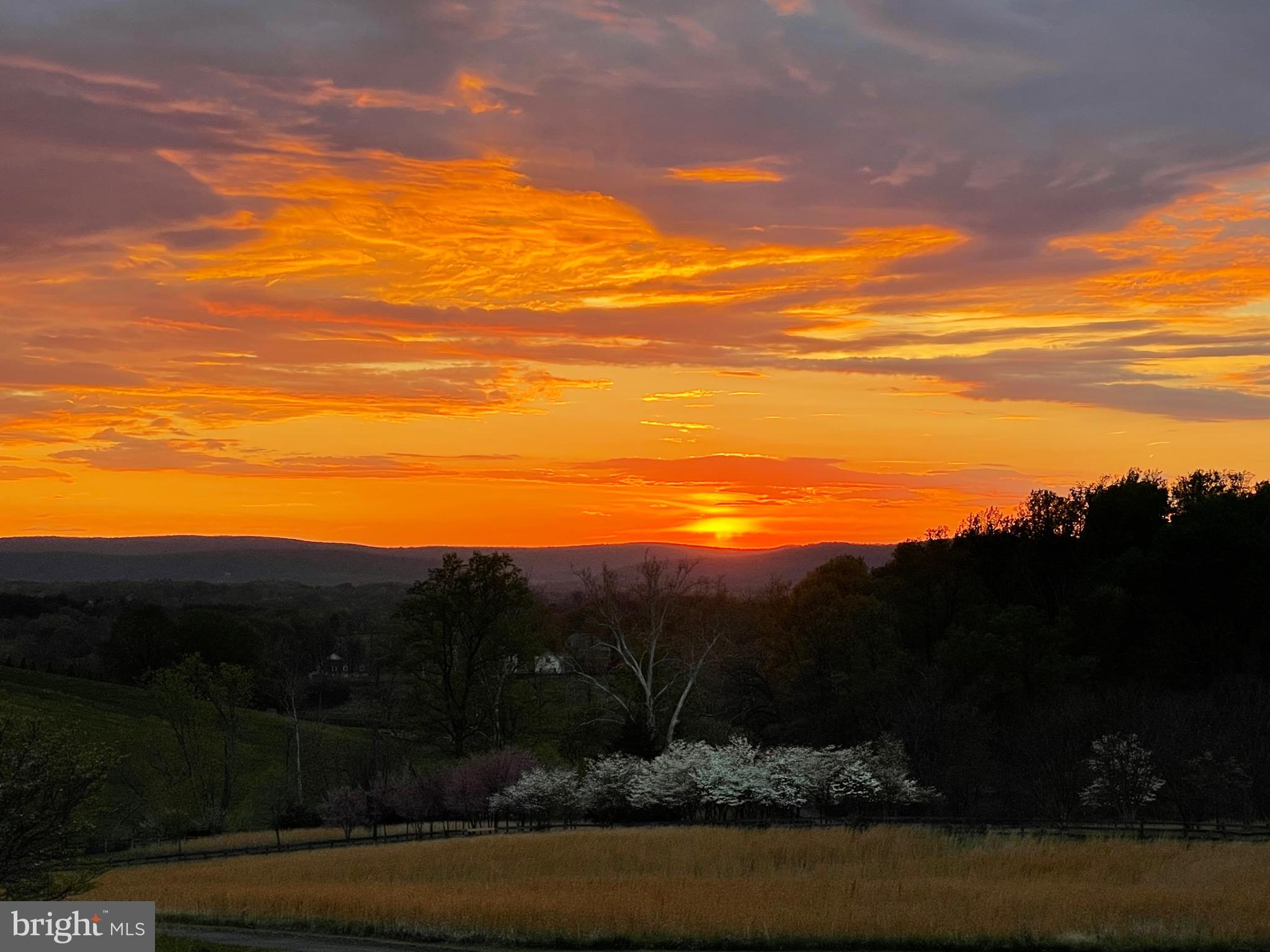 15870 Old Waterford Rd