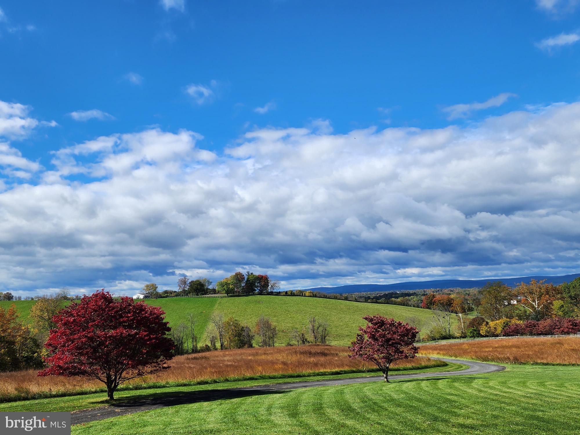 15870 Old Waterford Rd