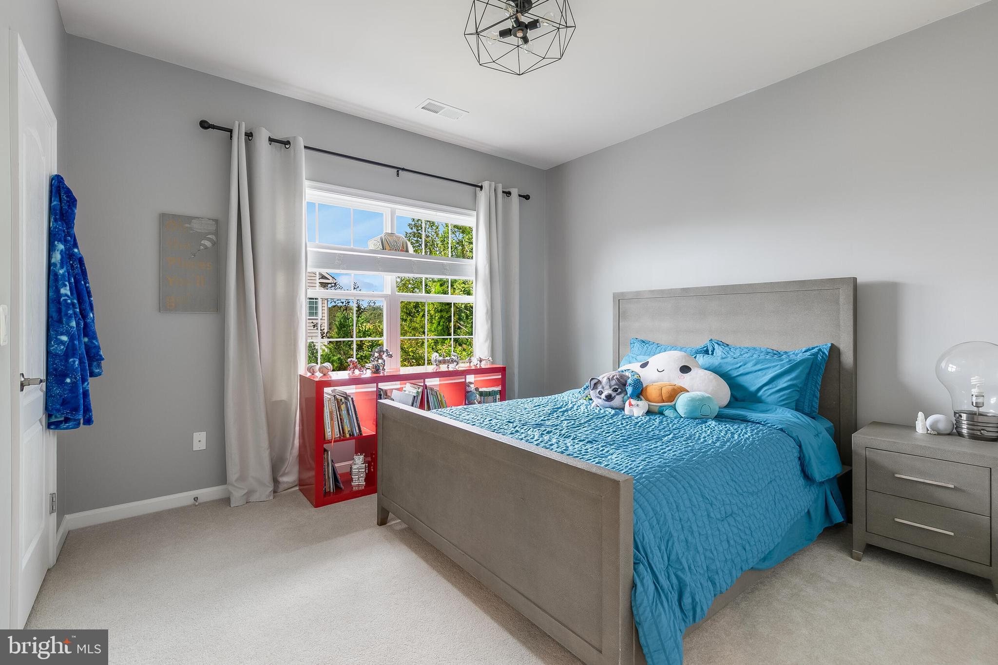 42018 MILL QUARTER PLACE