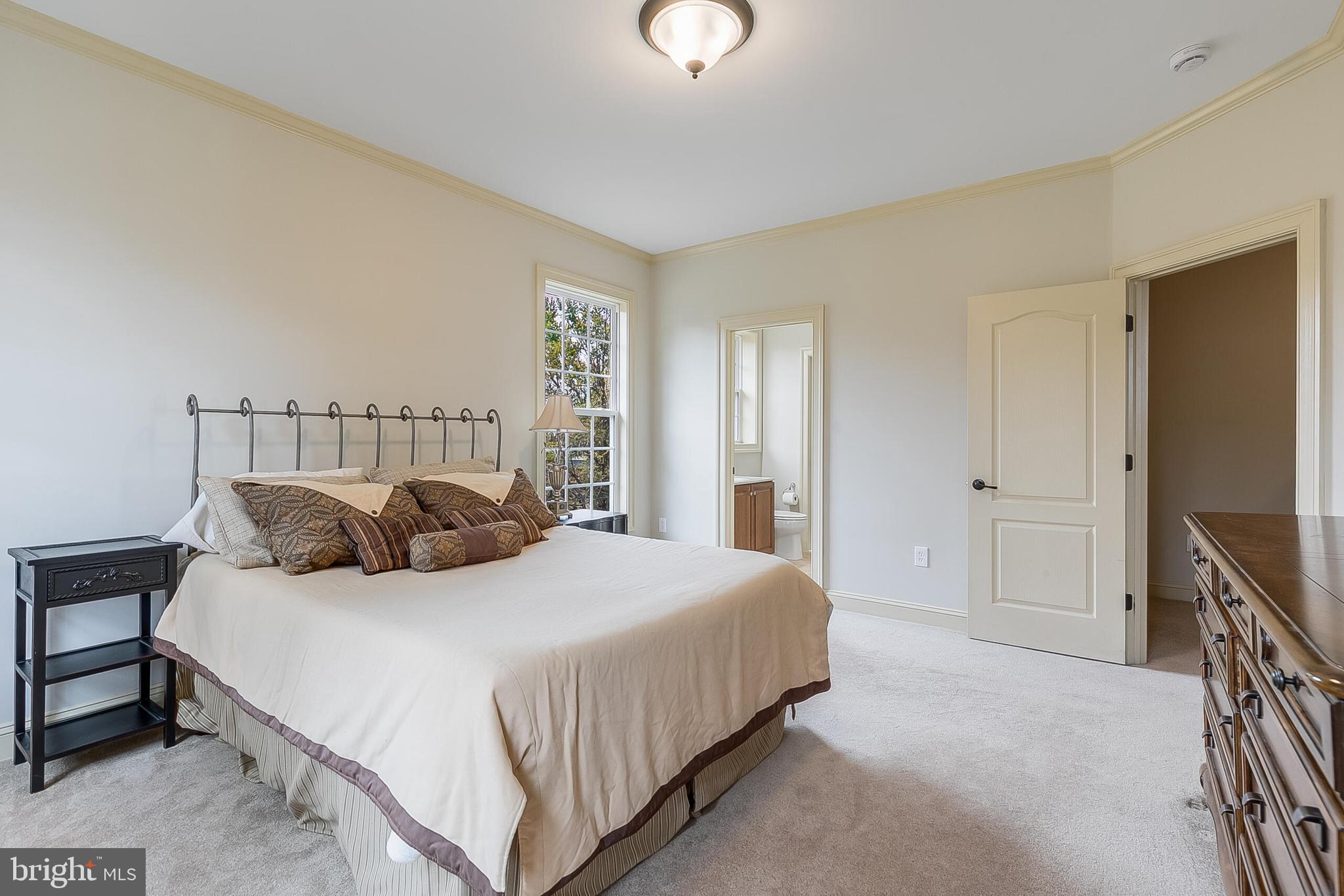 40390 ALDIE SPRINGS DRIVE