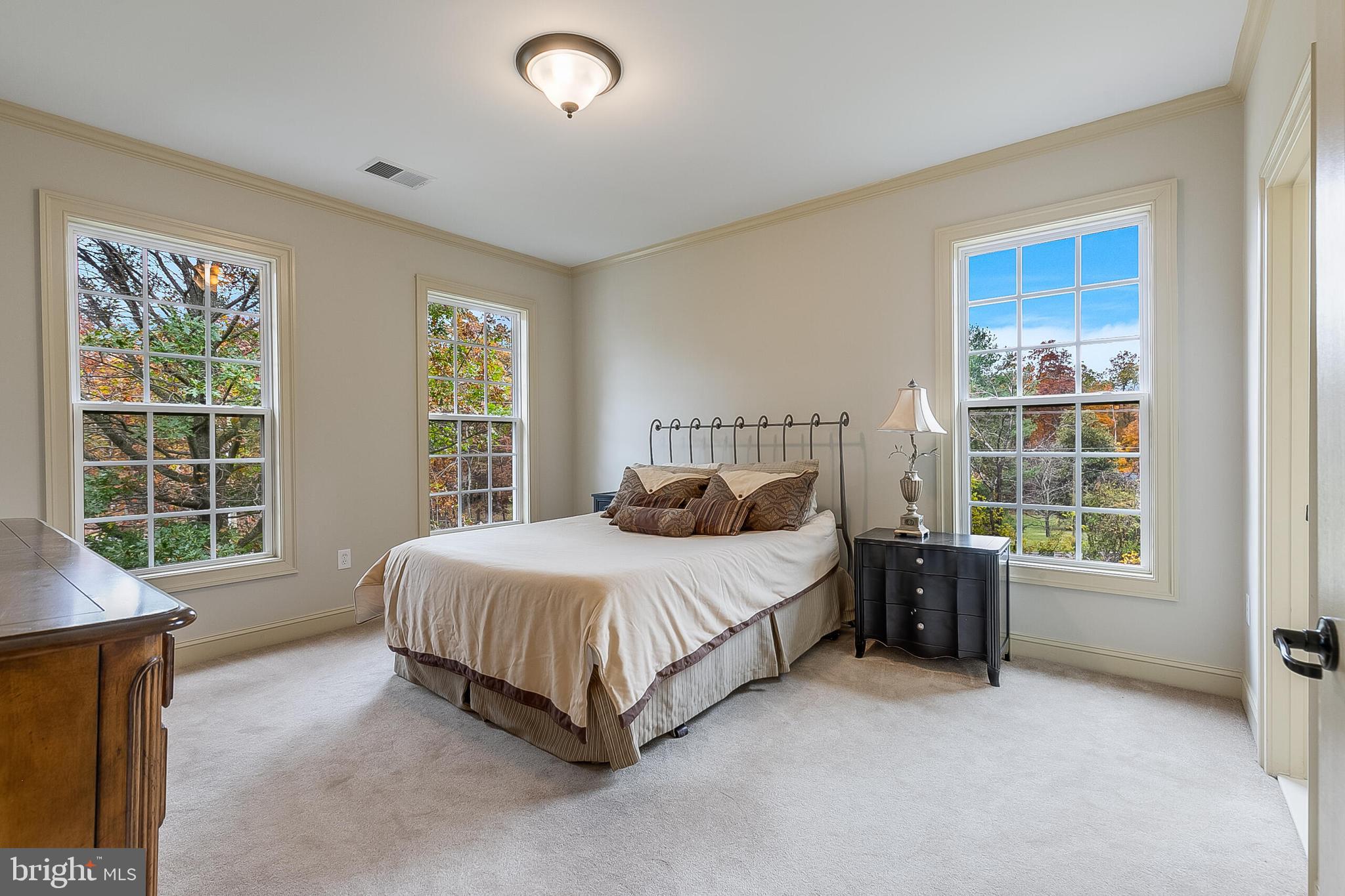 40390 ALDIE SPRINGS DRIVE