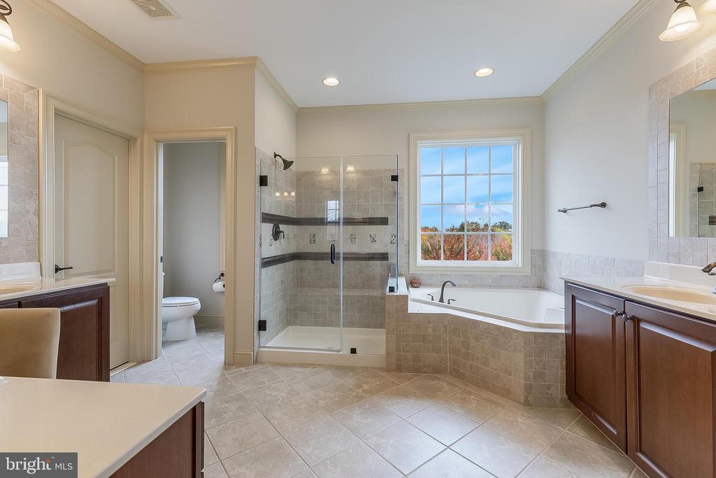 40390 ALDIE SPRINGS DRIVE