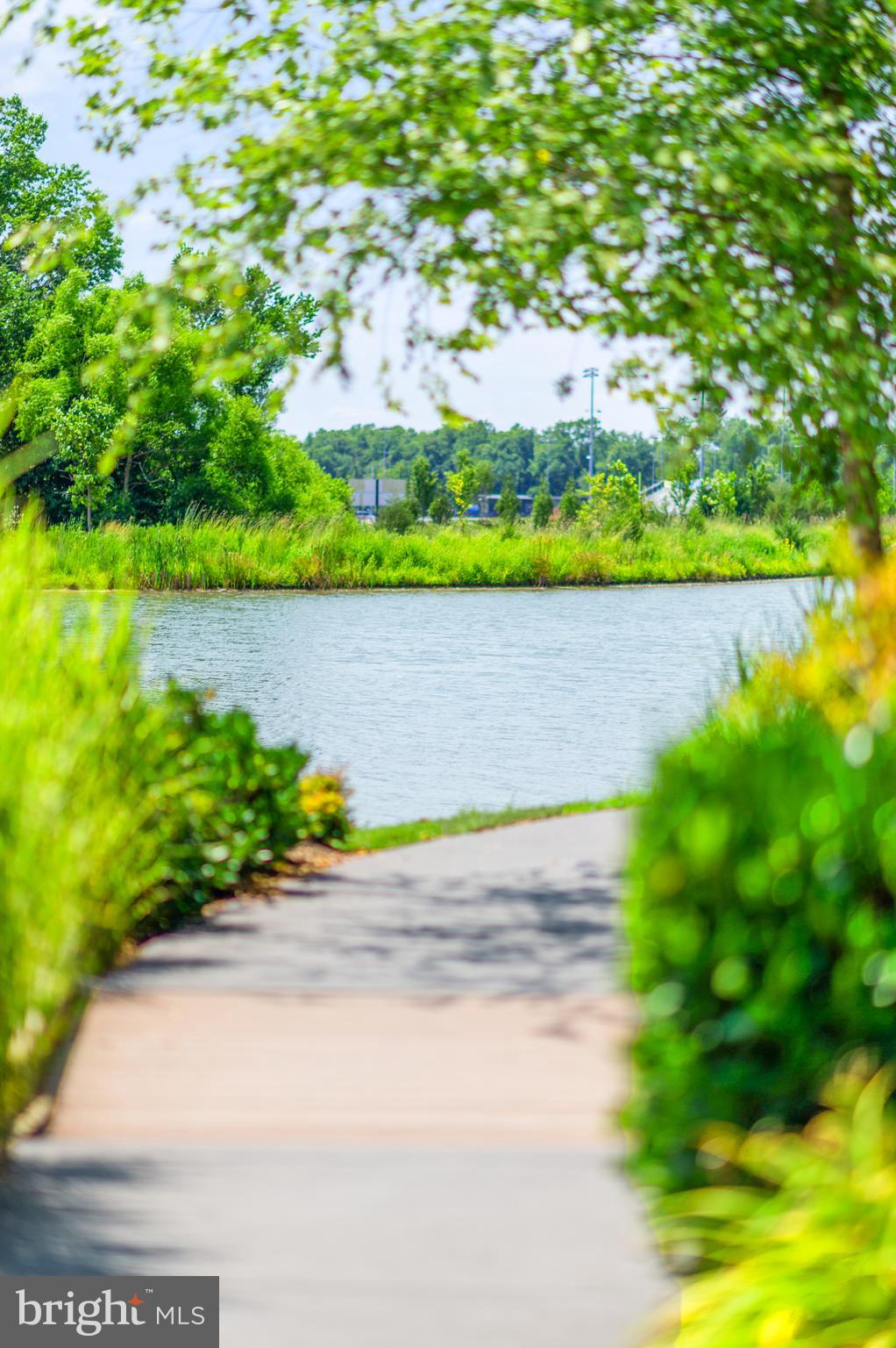 24974 FIRST HARVEST COURT