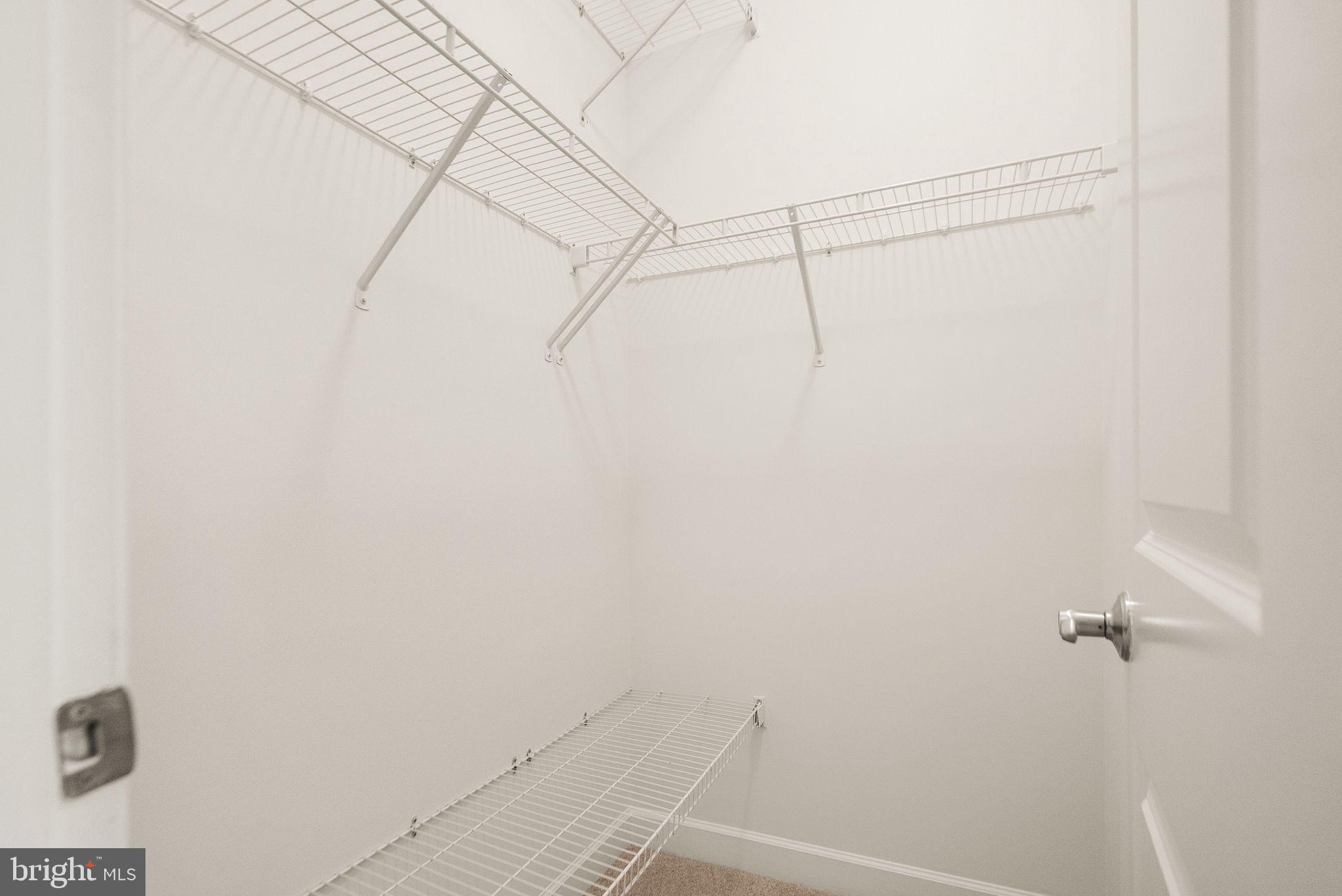 24974 FIRST HARVEST COURT