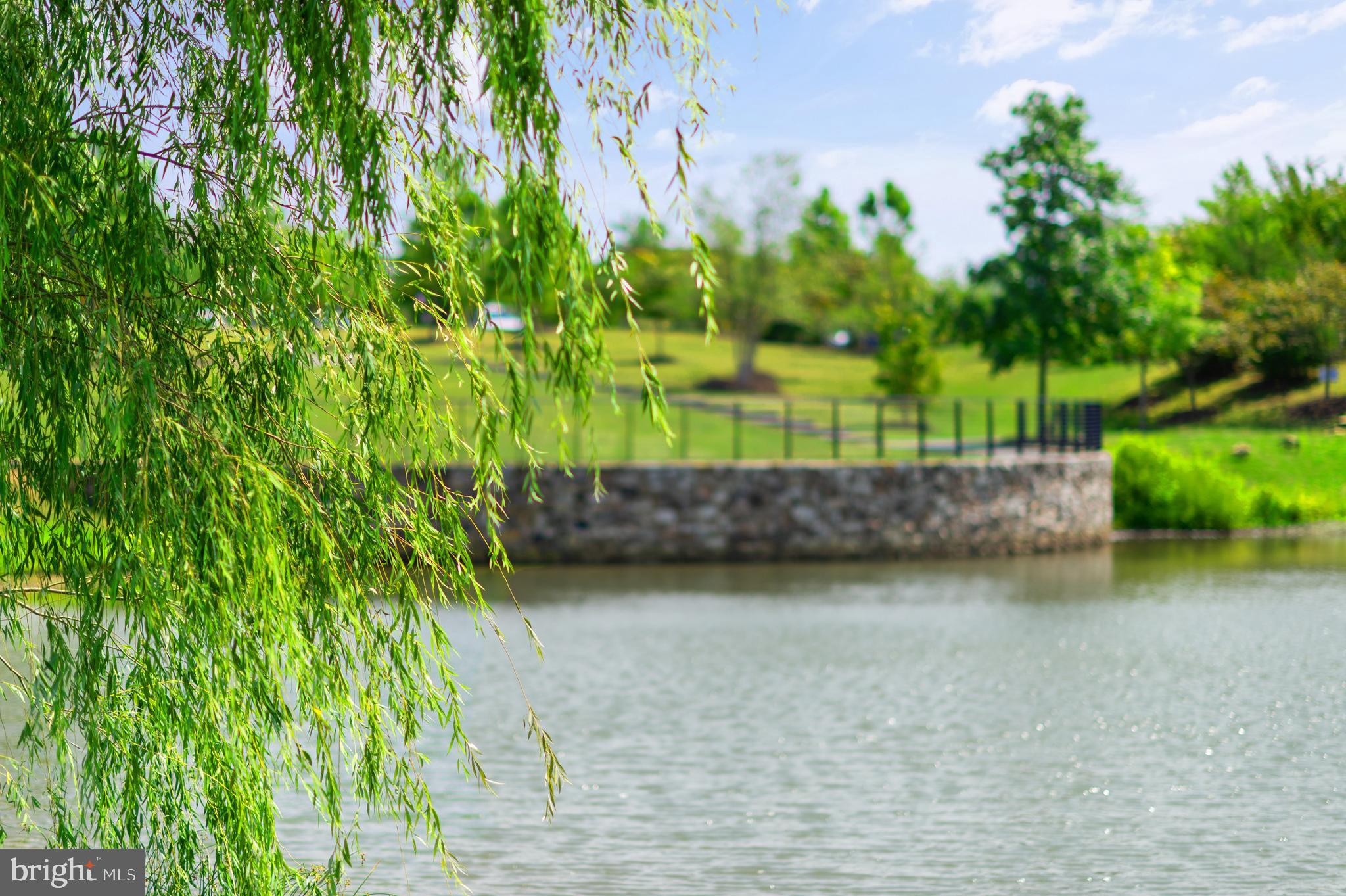 24974 FIRST HARVEST COURT