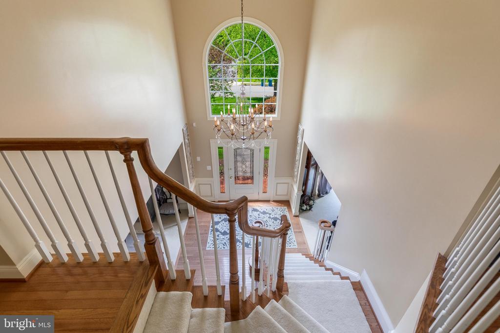 25554 MIMOSA TREE COURT