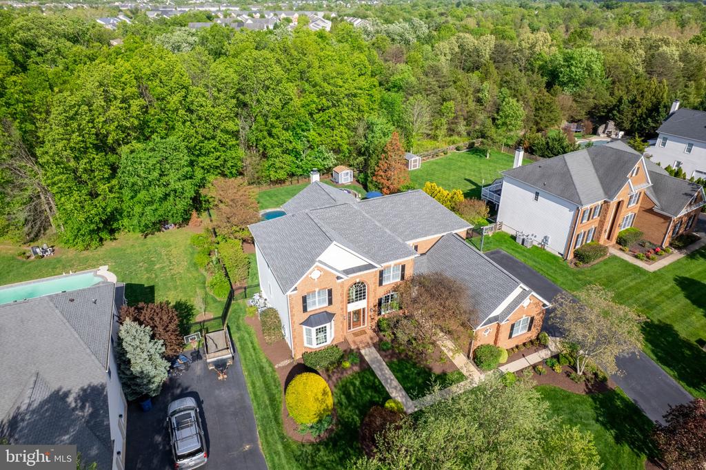 25554 MIMOSA TREE COURT