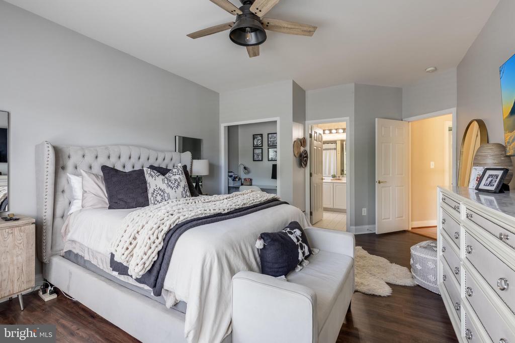 25554 MIMOSA TREE COURT