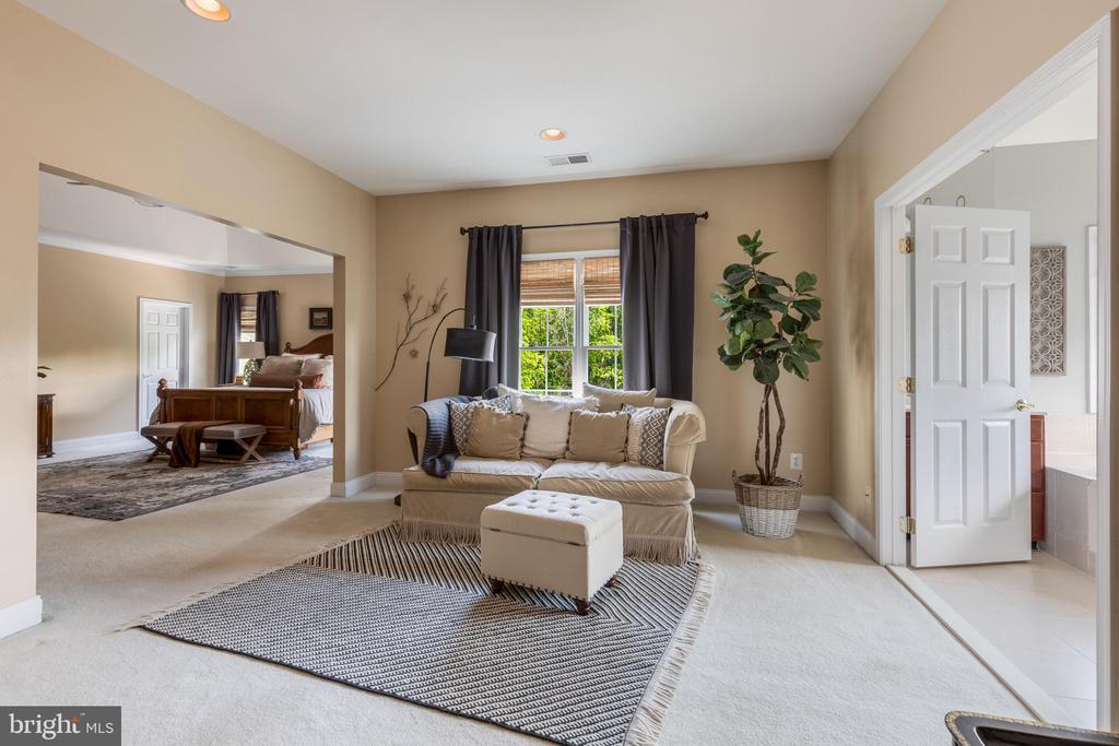 25554 MIMOSA TREE COURT