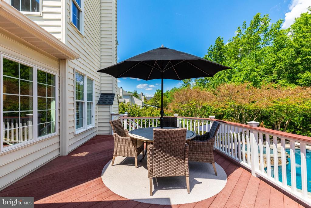 25554 MIMOSA TREE COURT