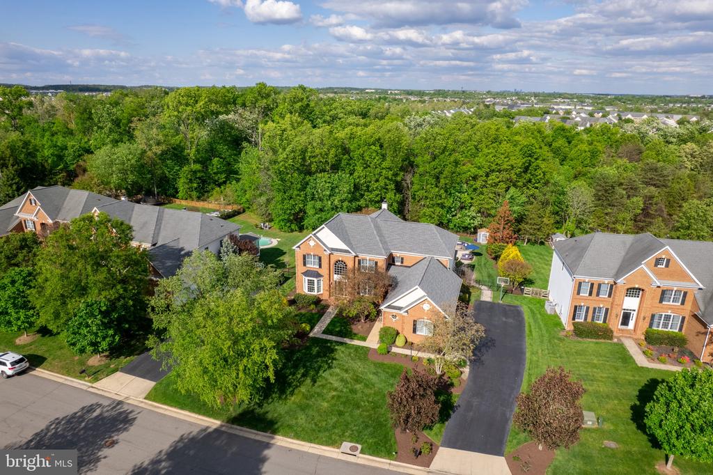 25554 MIMOSA TREE COURT