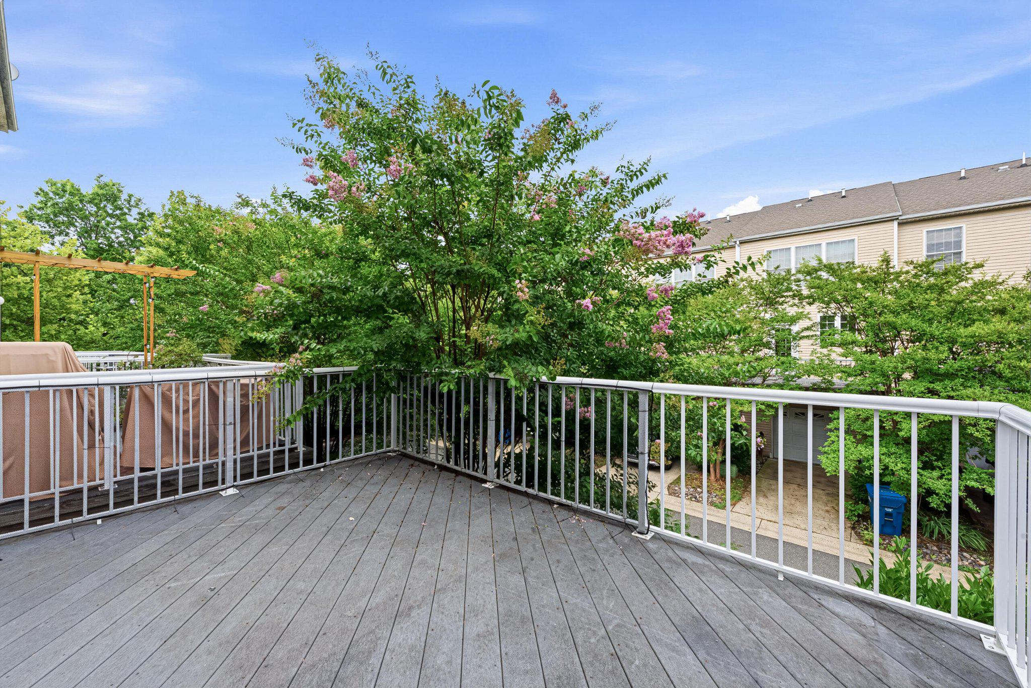 25033 JUSTICE DRIVE