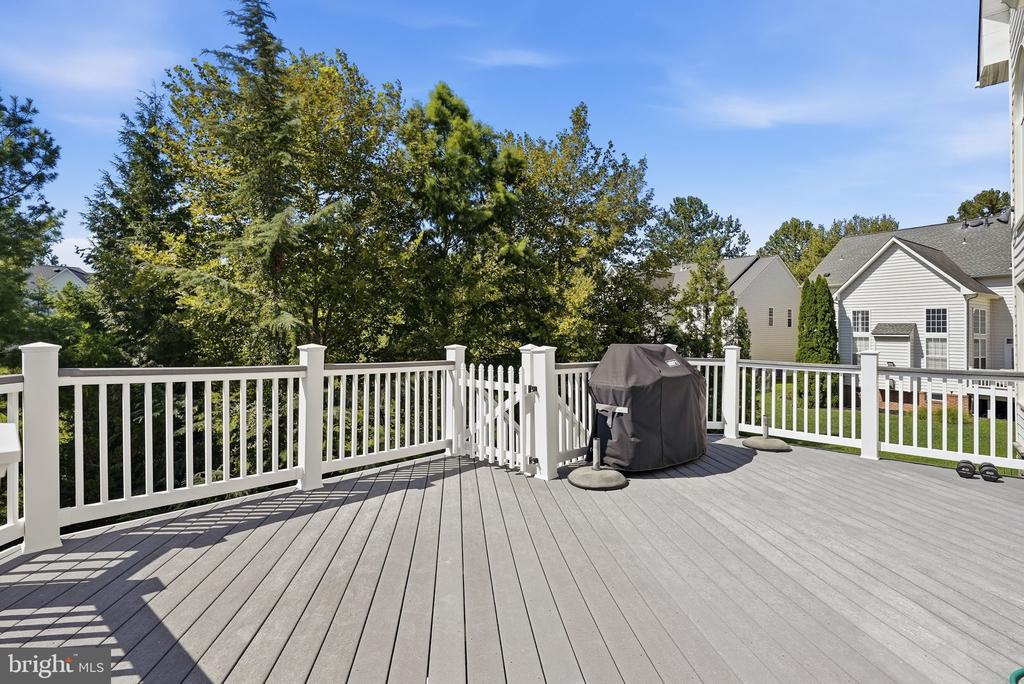 41897 WHITE MOUNTAIN COURT