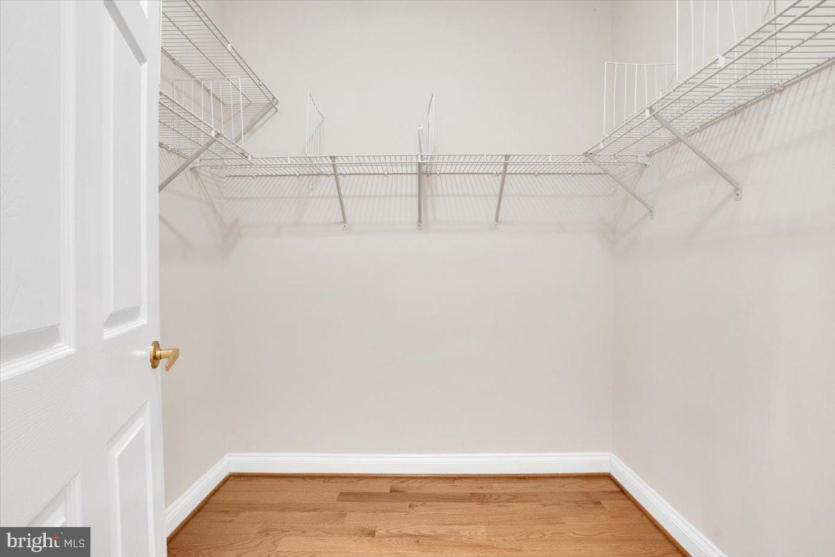 13736 Charismatic Way