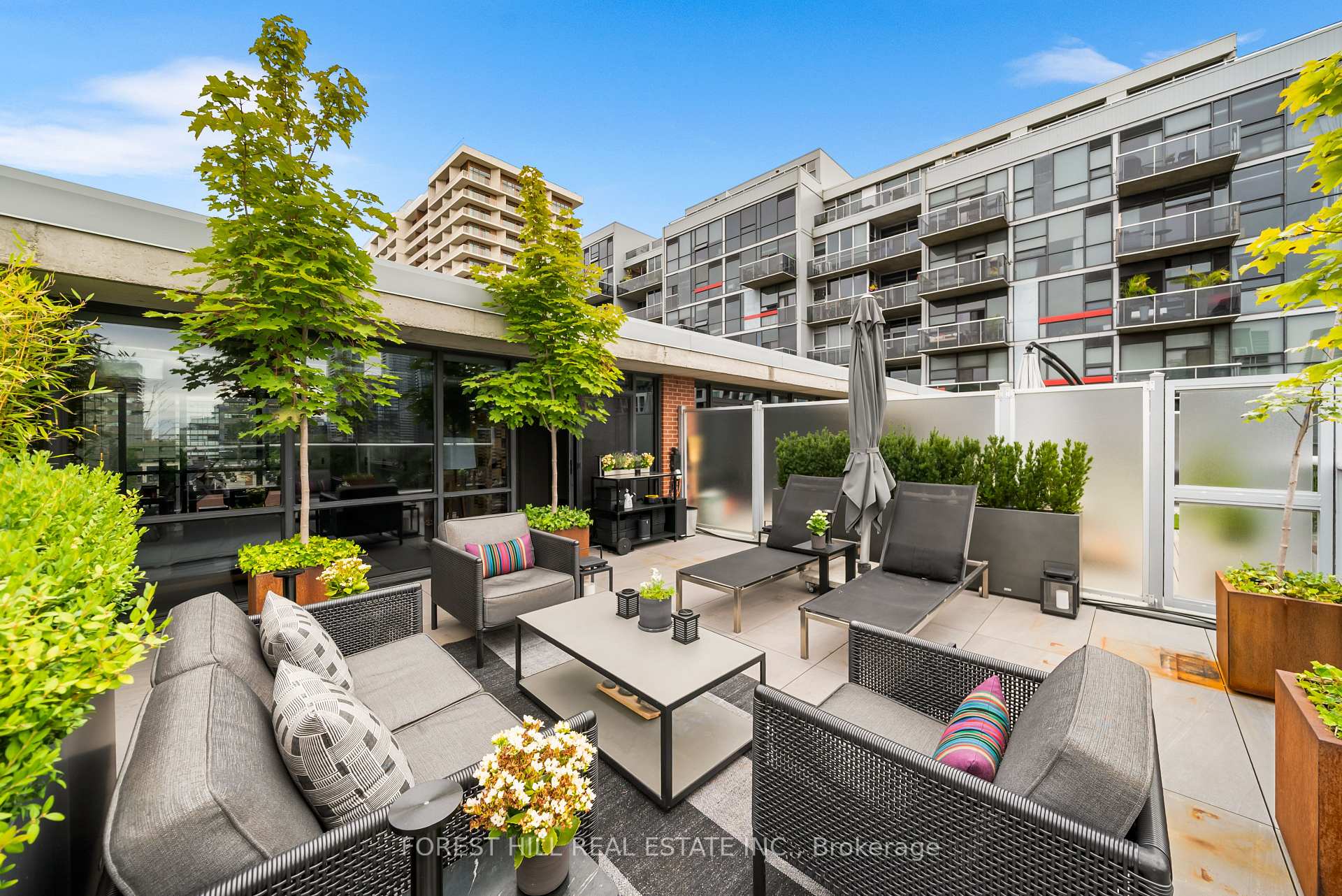 62 Niagara Street 519