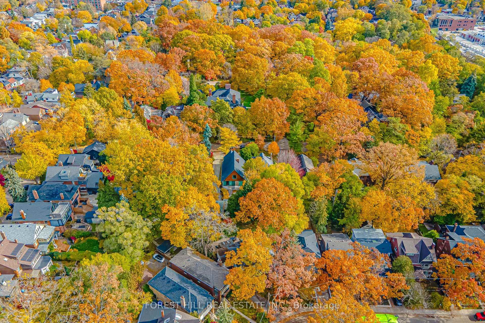 91 Braemore Gardens