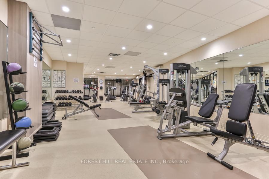1555 Finch Avenue 703