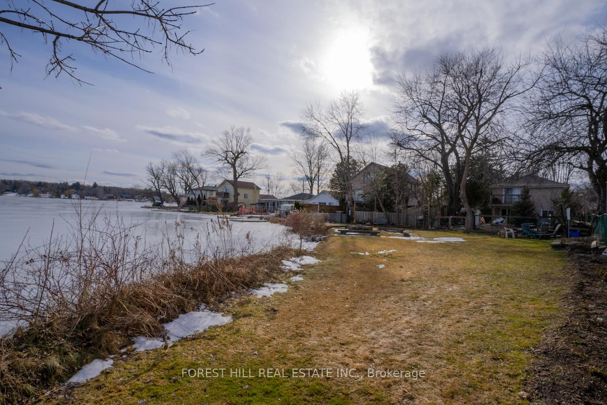 19 Wildwood Avenue #Bsmt