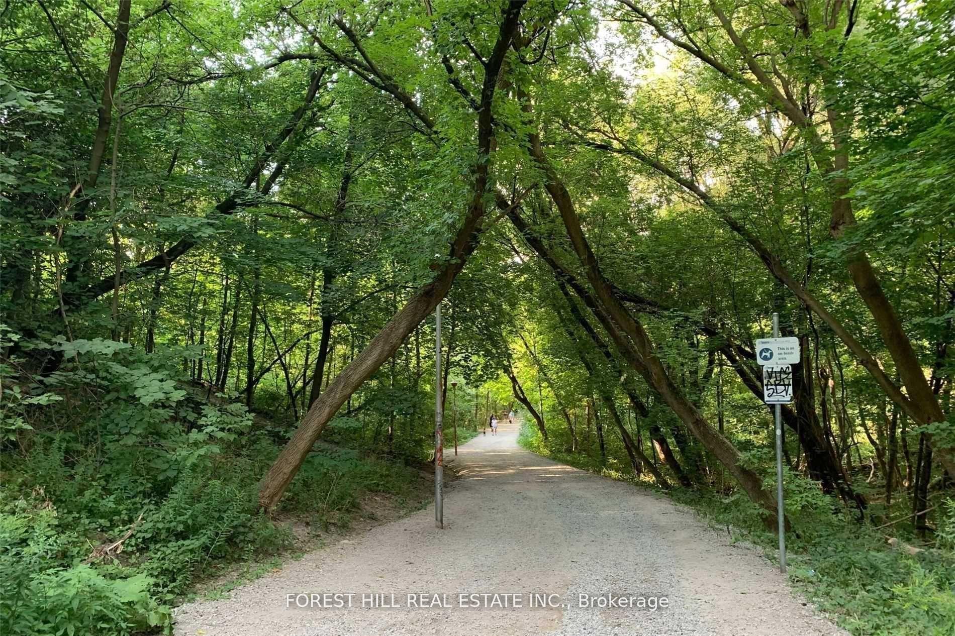 80 Belgravia Avenue A