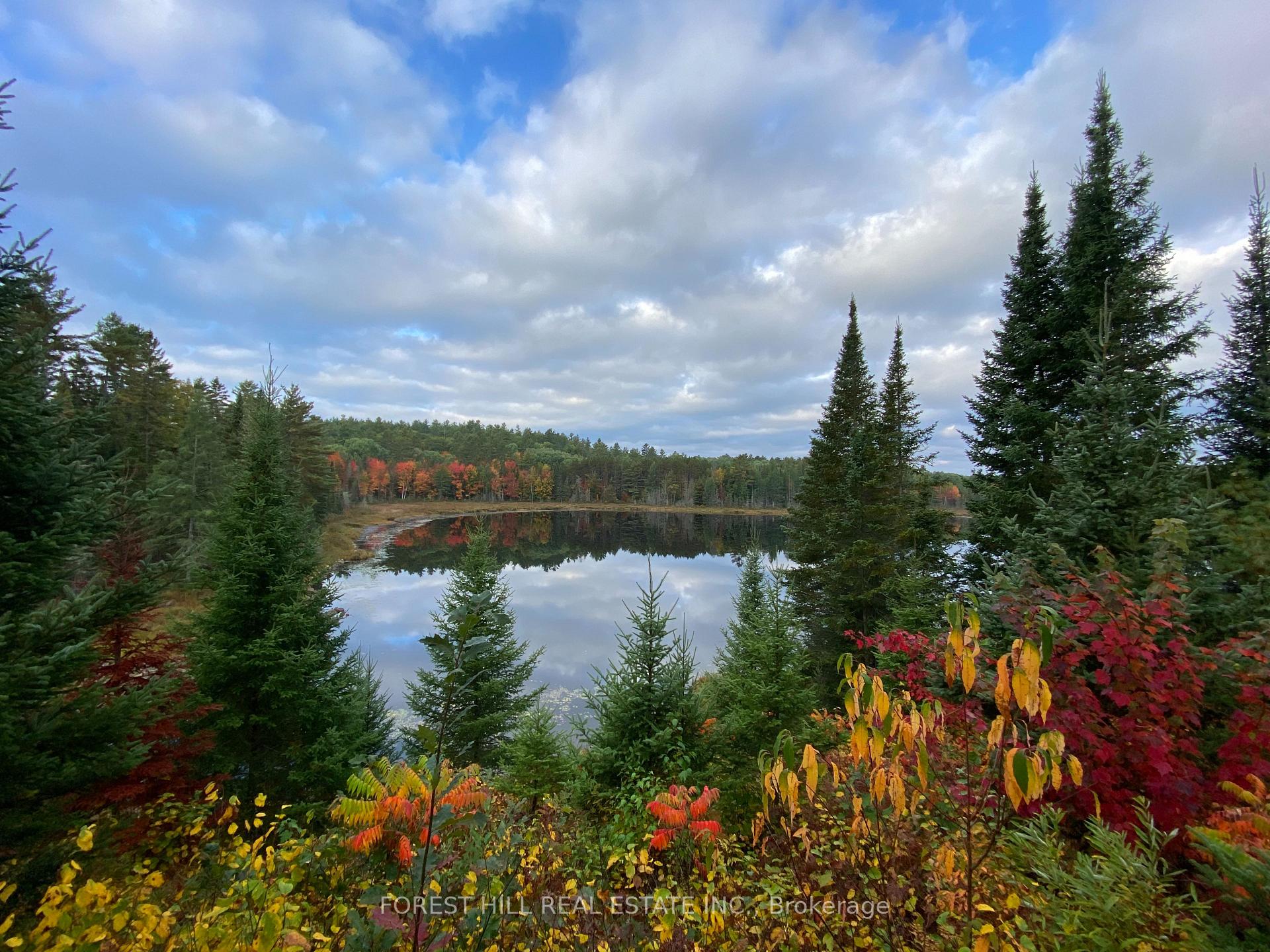 675 Dore Bay Road, North Algona Wilberforce