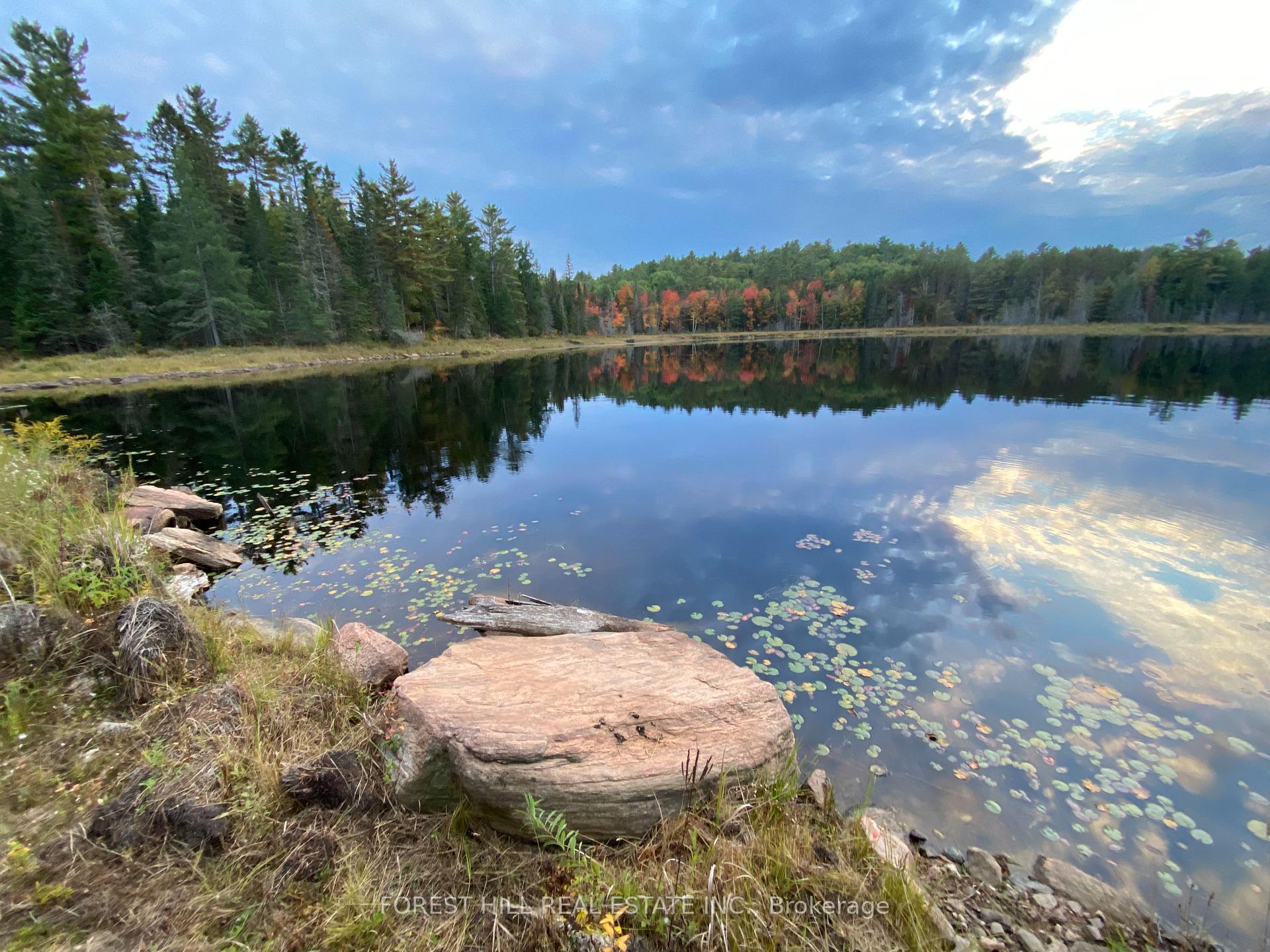 675 Dore Bay Road, North Algona Wilberforce