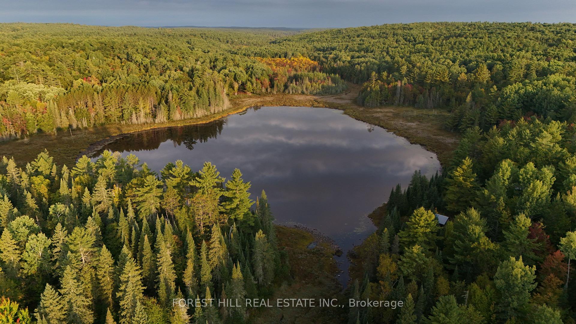 675 Dore Bay Road, North Algona Wilberforce