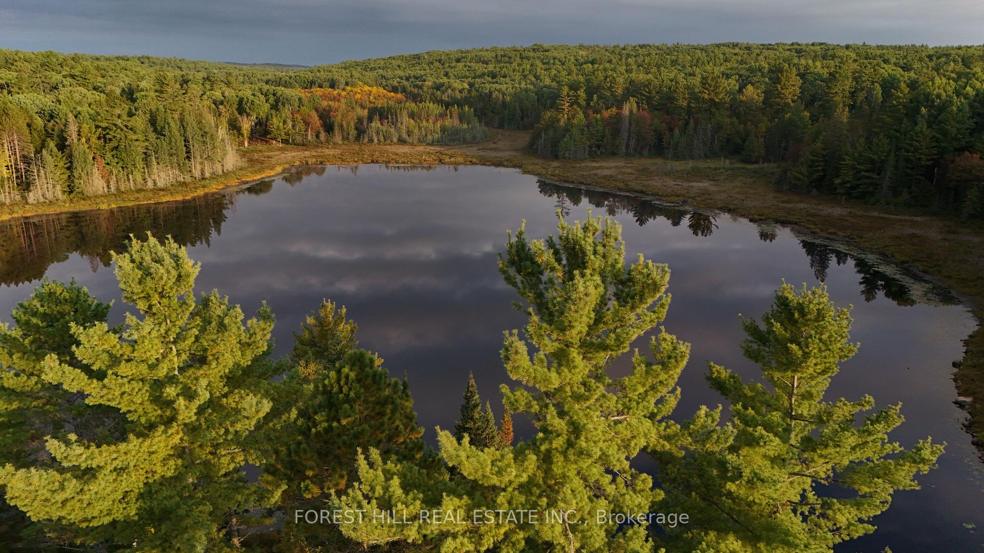 675 Dore Bay Road, North Algona Wilberforce