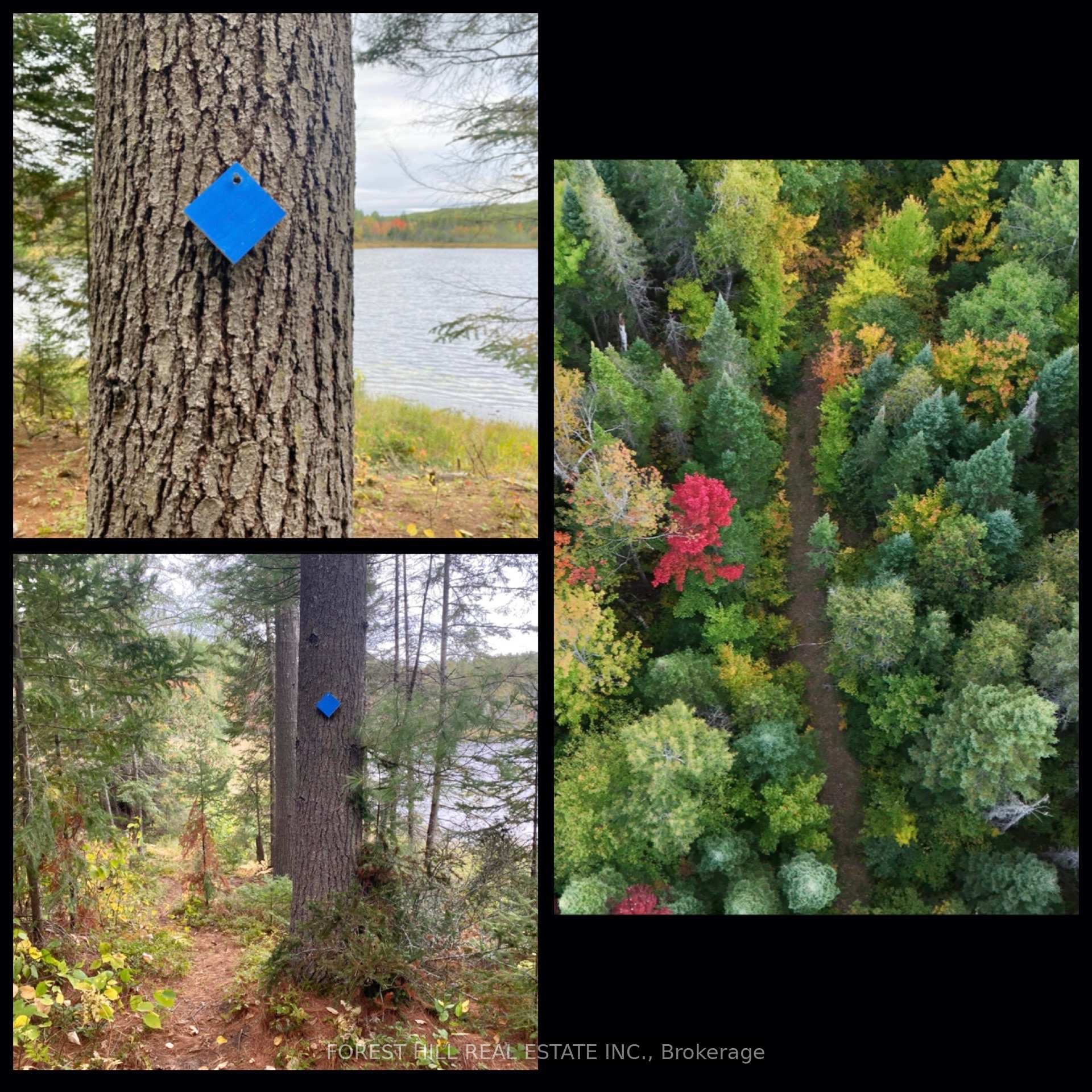 675 Dore Bay Road, North Algona Wilberforce