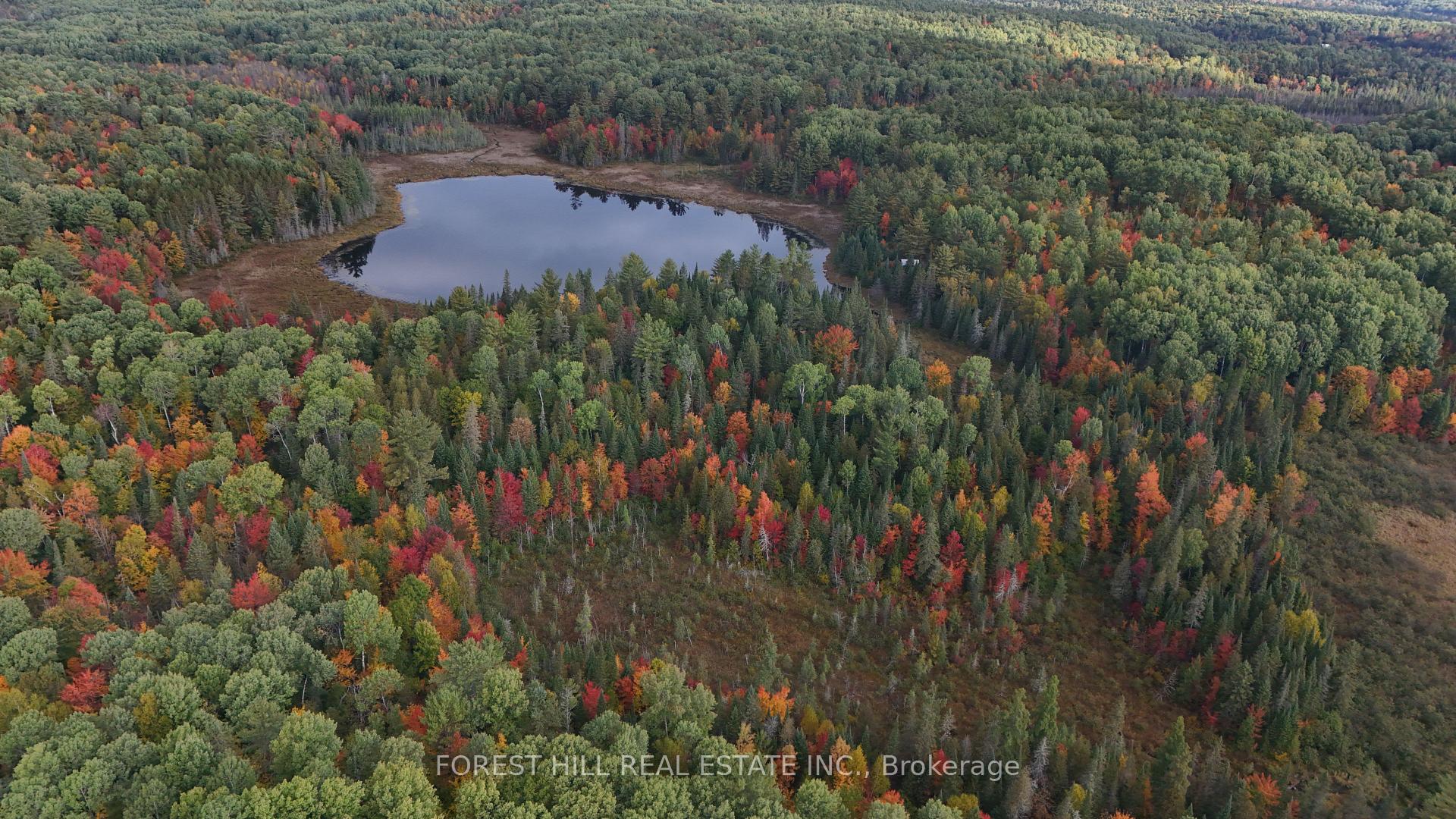 675 Dore Bay Road, North Algona Wilberforce