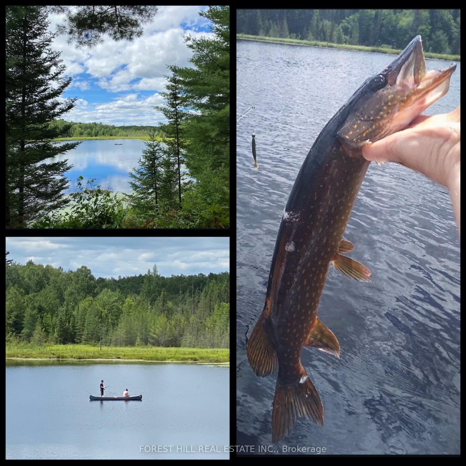 675 Dore Bay Road, North Algona Wilberforce