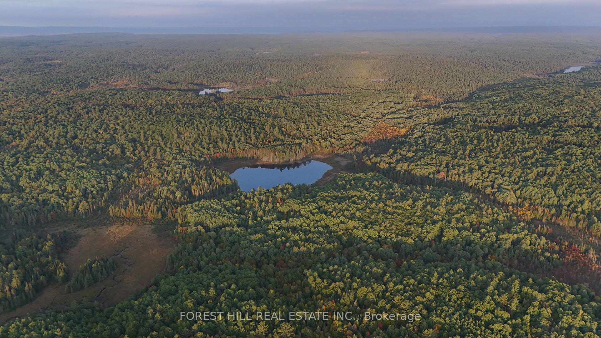 675 Dore Bay Road, North Algona Wilberforce