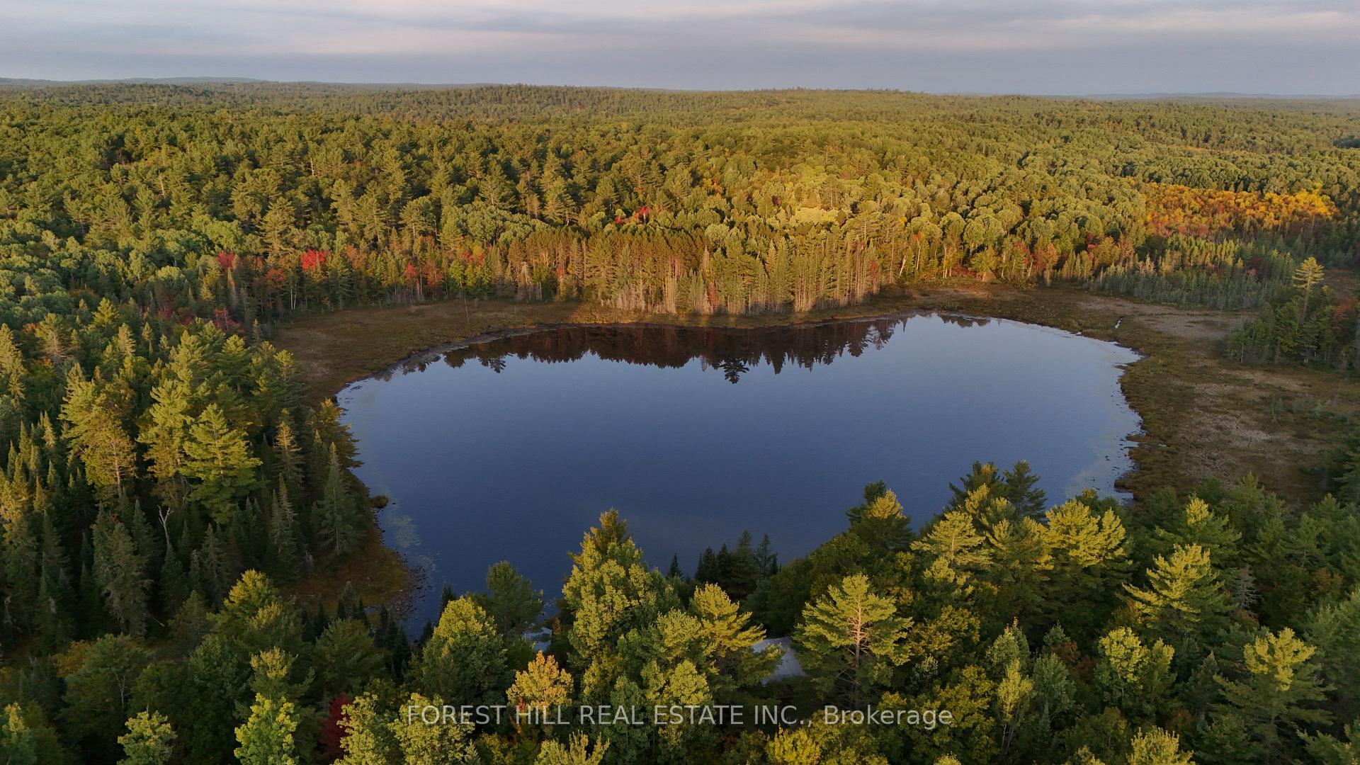 675 Dore Bay Road, North Algona Wilberforce